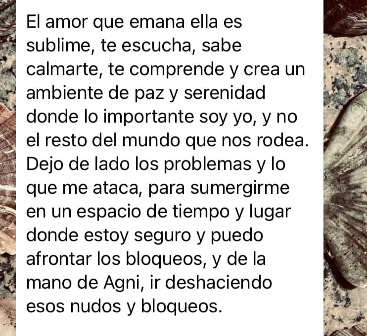 mas-hombre-test (11)